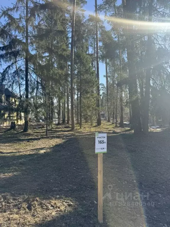 Участок, 8.2 сот., поселения (ижс) - Фото 2