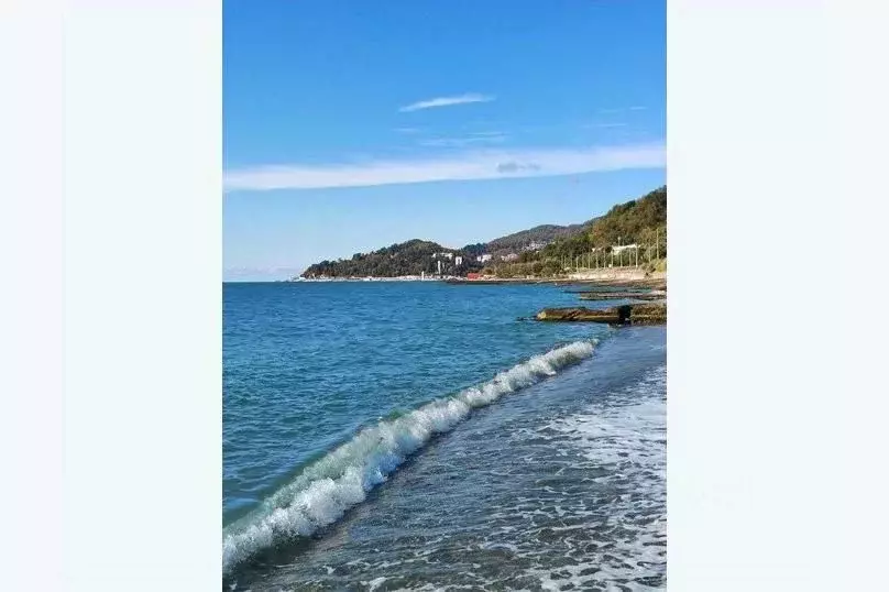 1-к кв. Краснодарский край, Сочи ул. Искры, 88к2 (25.0 м) - Фото 0