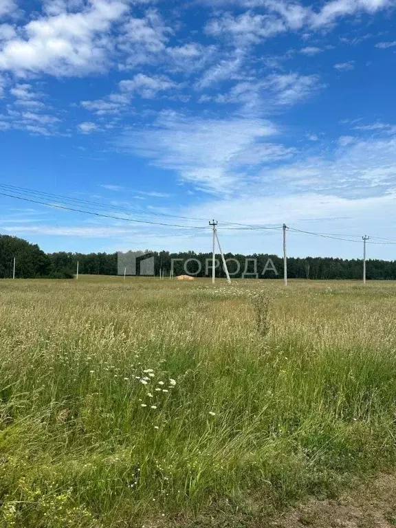 Участок в Алтайский край, Первомайский район, с. Фирсово, Полесье мкр  ... - Фото 2