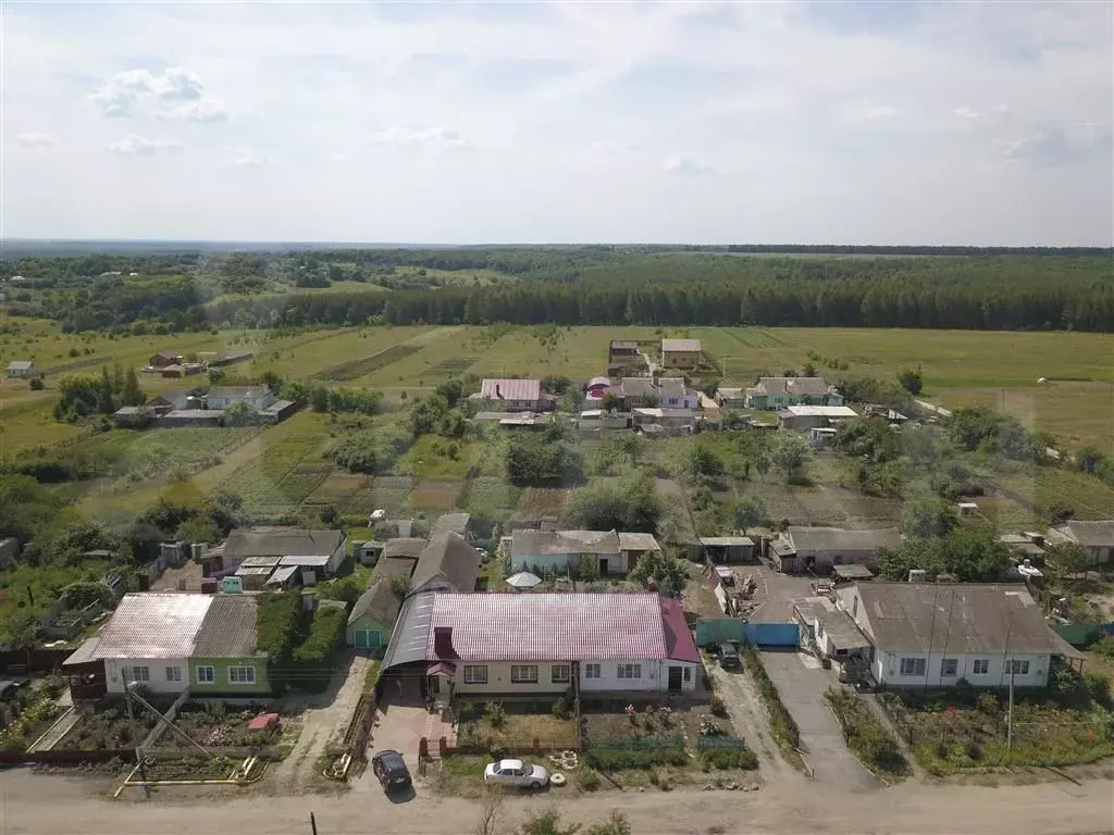 Село новое дубовое липецкая область. Новое Дубовое Липецкая область. Село Синдякино Липецкая область. С. Синдякино, Хлевенский р-н, Липецкая область.