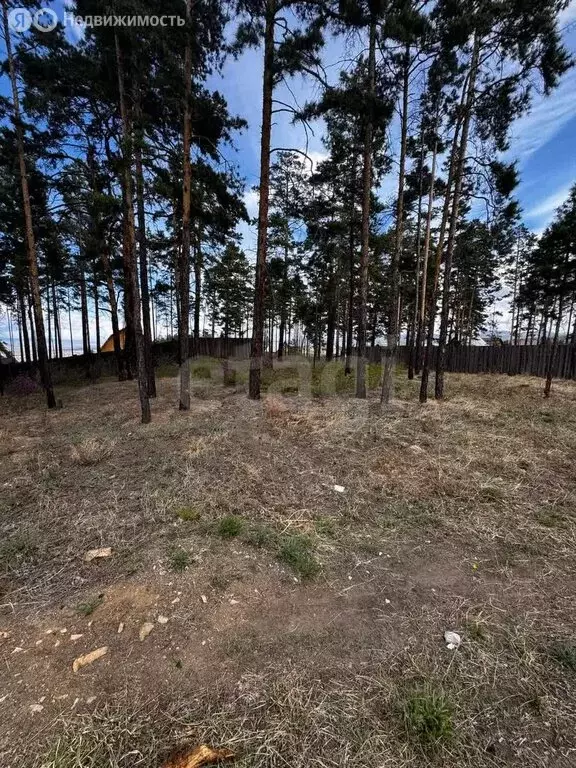 Участок в Улан-Удэ, ДНТ Перспектива, Красивая улица (10 м) - Фото 1
