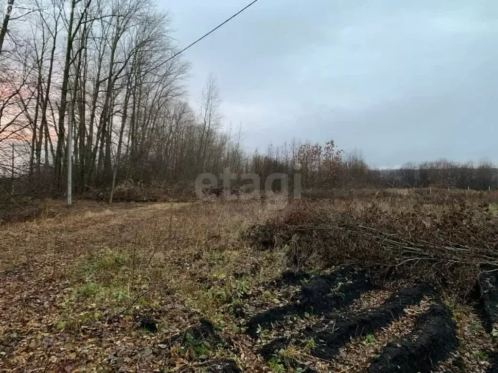 Участок в Республика Мордовия, городской округ Саранск, посёлок ... - Фото 1