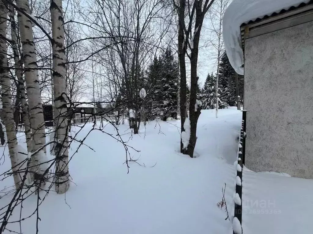 Участок в Свердловская область, Нижний Тагил муниципальный округ, пос. ... - Фото 2