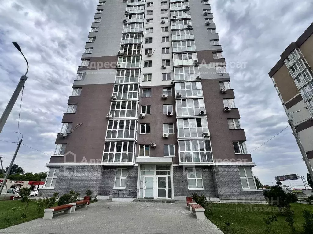 Офис в Волгоградская область, Волгоград ул. Гаря Хохолова, 2 (178 м) - Фото 1