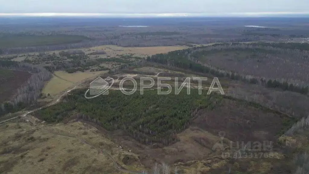 Участок в Тюменская область, Нижнетавдинский район, Царицыно СНТ  (7.0 ... - Фото 0