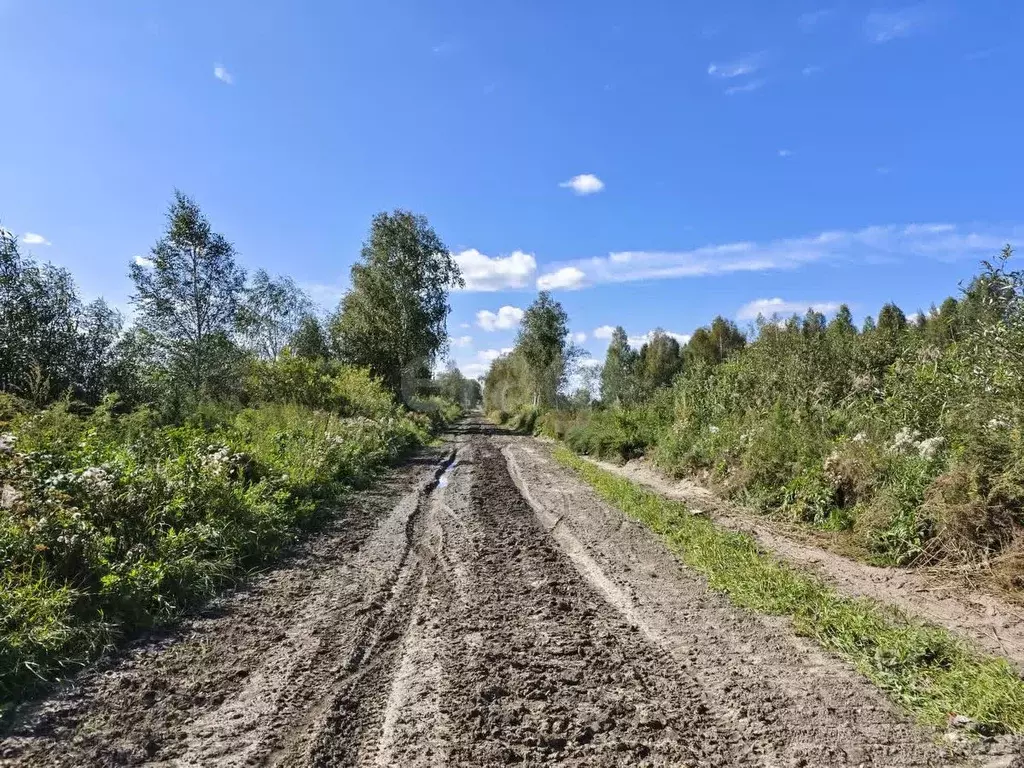 участок в тюменская область, нижнетавдинский район, строитель тсн . - Фото 0