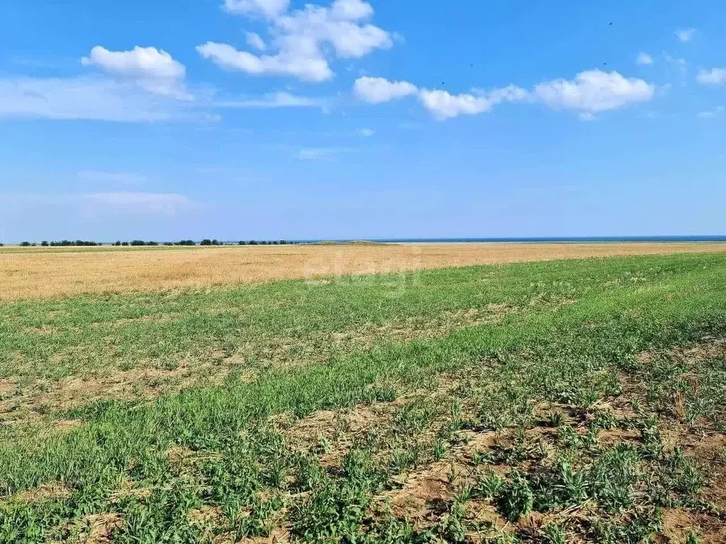 Участок в Крым, Сакский район, с. Веселовка ул. Урожайная (200.0 сот.) - Фото 0