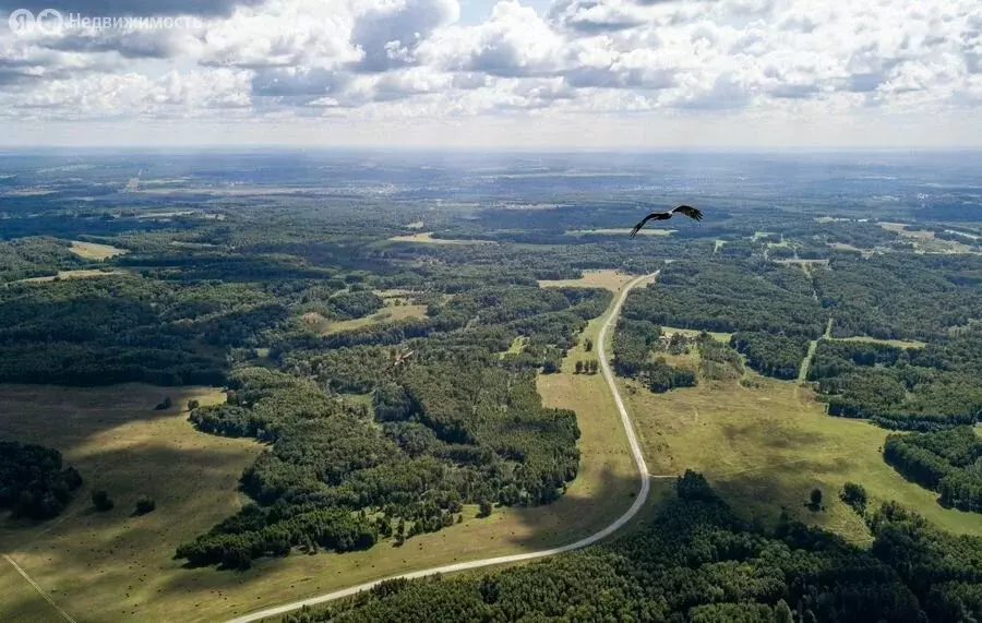 Участок в Новосибирский район, село Плотниково (8.4 м) - Фото 0