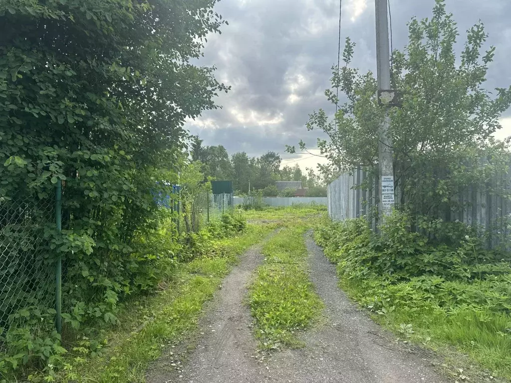 Участок в Санкт-Петербург Веретено-2 СНТ, ул. Зеленая (6.6 сот.) - Фото 0