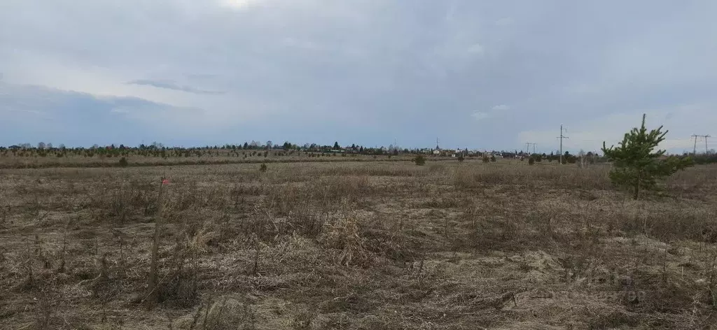 Участок в Челябинская область, Сосновский муниципальный округ, с. ... - Фото 2