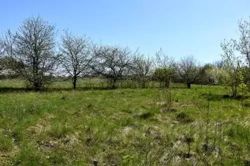 Участок в Белгородская область, Яковлевский городской округ, с. ... - Фото 1