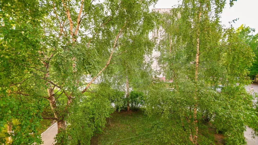1-к. квартира, 28,4 м, 2/5 эт. - Фото 1
