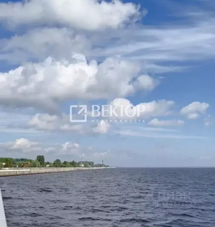 Дом в Ивановская область, Юрьевец Лесная ул., 19 (50 м) - Фото 2