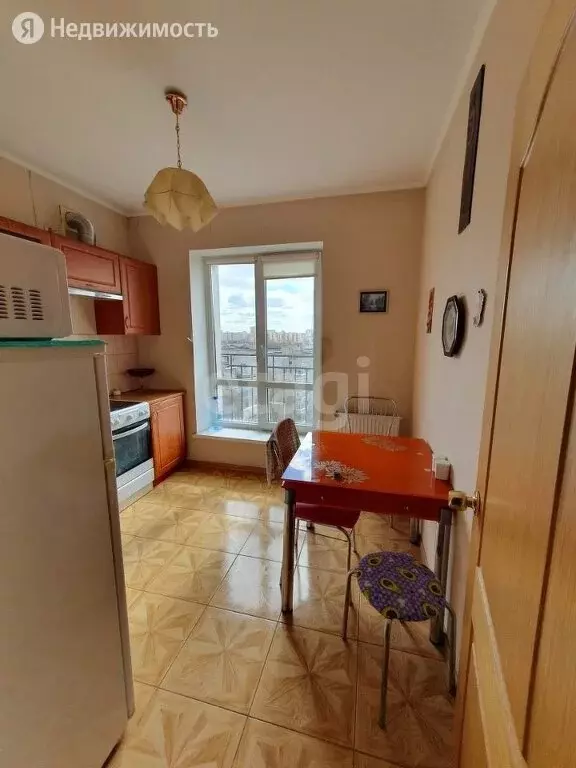 Купить Студию В Калининграде