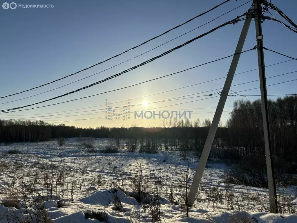 Участок в Нижегородская область, Кстовский муниципальный округ, село ... - Фото 0