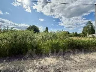 Участок в Тюменская область, Исетский муниципальный округ, с. Денисово ... - Фото 1