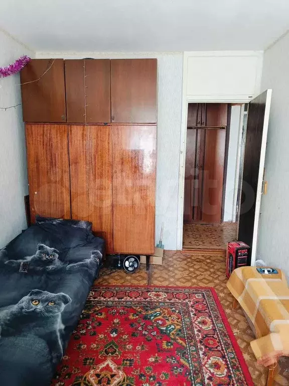 2-к. квартира, 50,2 м, 3/5 эт. - Фото 0