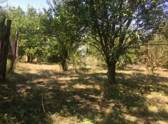 Участок в хутор Ленинаван, садоводческое некоммерческое товарищество ... - Фото 1