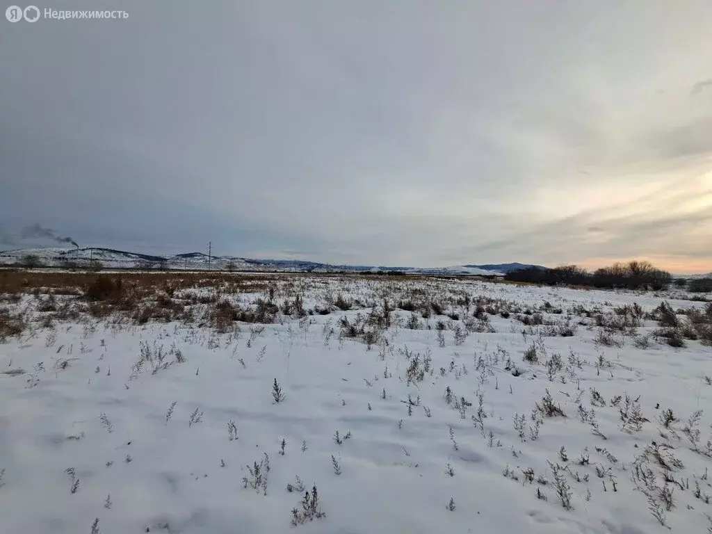 Участок в село Сужа, квартал Северный (8 м) - Фото 1