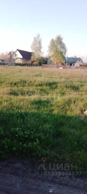 Участок в Липецкая область, Грязинский муниципальный округ, с. Казинка ... - Фото 1