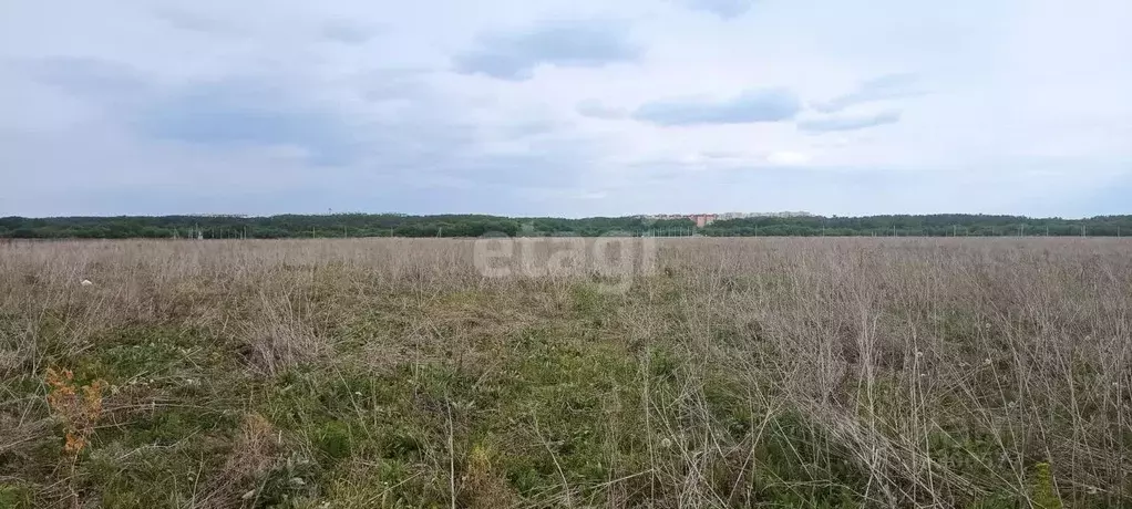 Участок в Воронежская область, Семилукский район, с. Девица, Поречье-2 ... - Фото 0