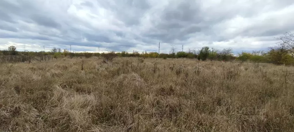 Участок в Краснодарский край, Тимашевск Строитель СОТ, 129 (5.0 сот.) - Фото 2