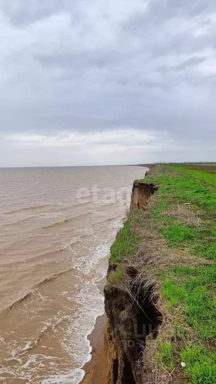 Участок в Краснодарский край, Ейский район, Должанская ст-ца  (140.0 ... - Фото 0