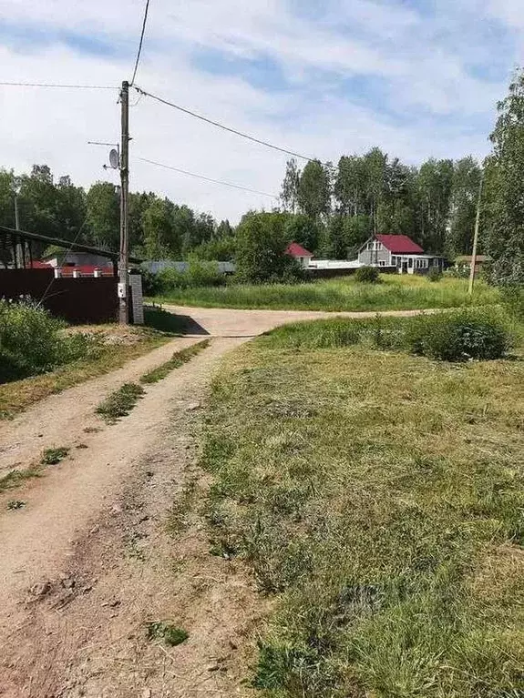 Участок в Ленинградская область, Выборгский район, Каменногорское ... - Фото 1