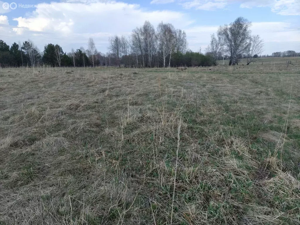 Участок в село Баюновские Ключи, Берёзовая улица, 16 (15.58 м) - Фото 0