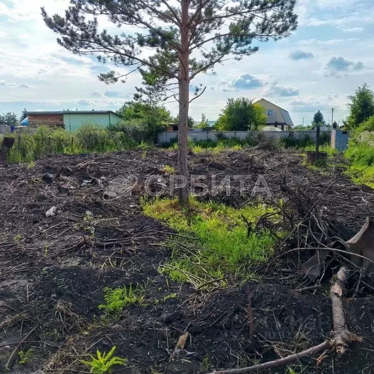 Участок в Тюменская область, Тюмень Яровское садовое товарищество, ул. ... - Фото 1