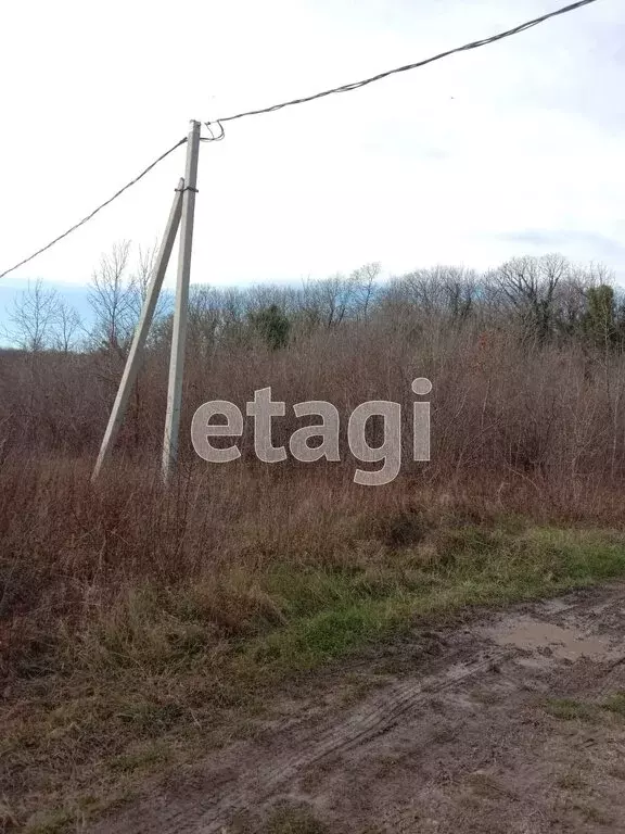 Участок в посёлок городского типа Джубга, Ореховая улица (8 м) - Фото 1