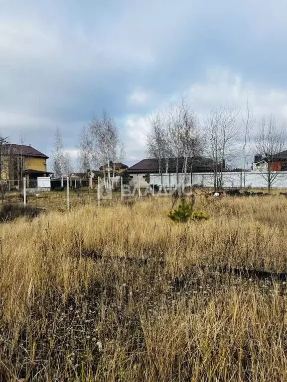 Участок в Воронежская область, Рамонский район, Новоживотинновское ... - Фото 0