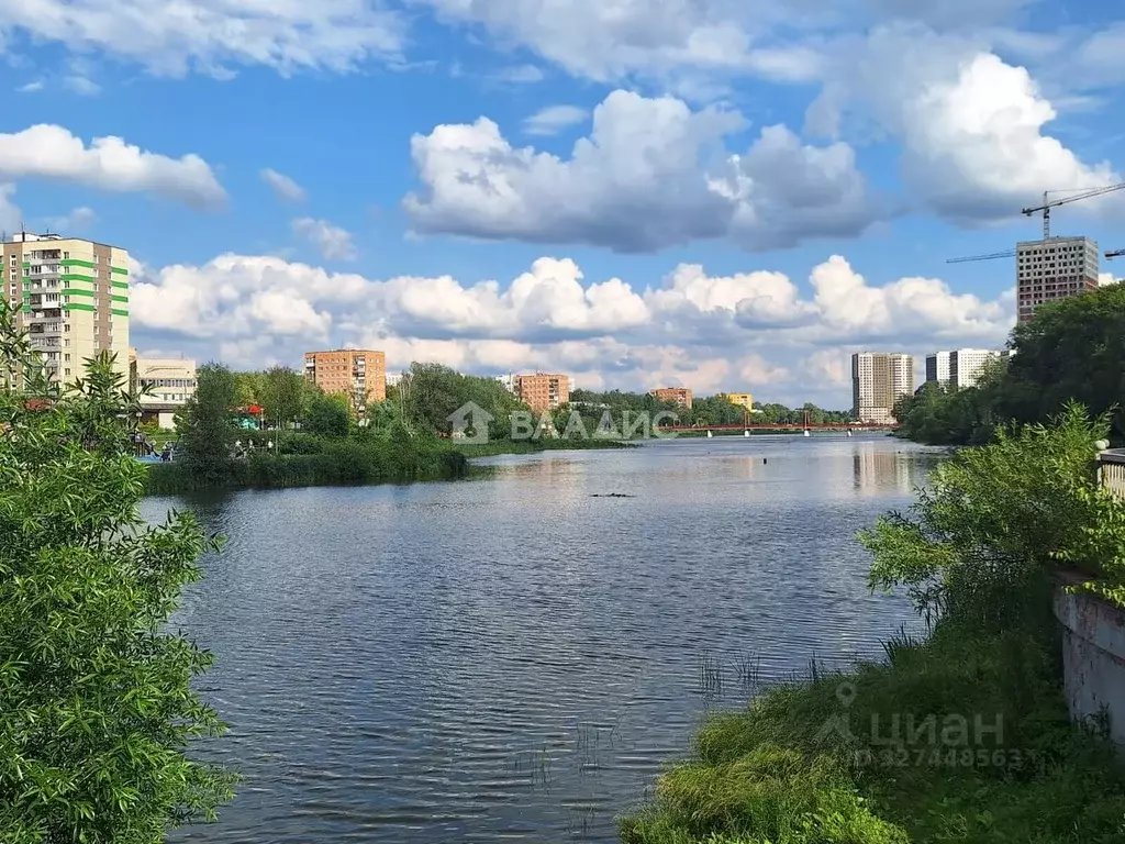 3-к кв. Московская область, Пушкино ул. Чехова, 1к3 (104.6 м) - Фото 2