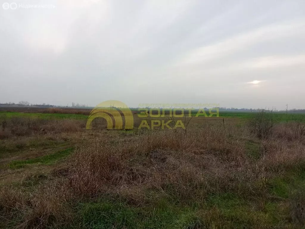 Участок в Мингрельская, улица Пушкина (15 м) - Фото 2