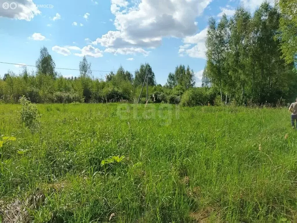 Участок в Ярославский муниципальный округ, деревня Жуково ... - Фото 1