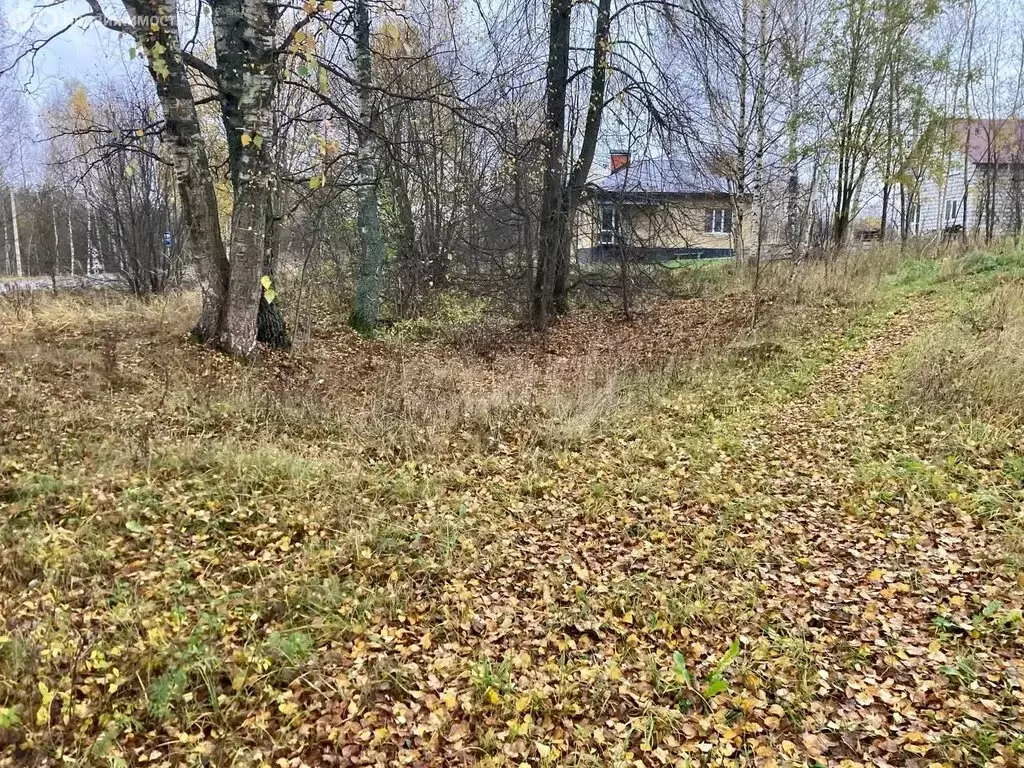 Участок в Нерехтский район, Воскресенское сельское поселение, посёлок ... - Фото 2