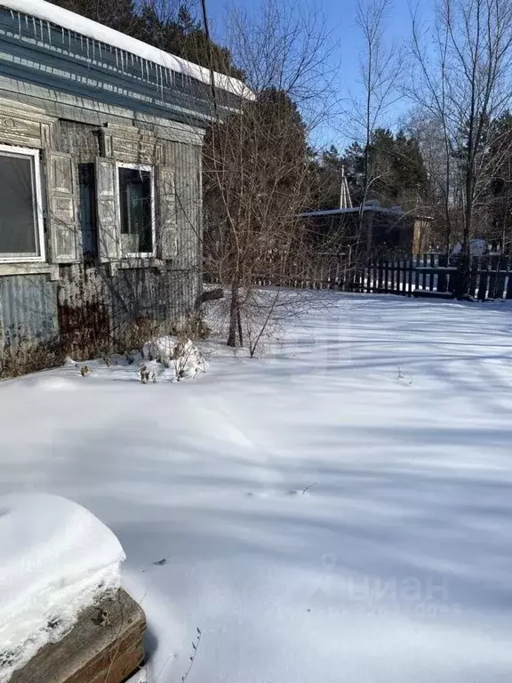 Дом в Амурская область, с. Ивановка ул. Кирова, 53 (35 м) - Фото 1