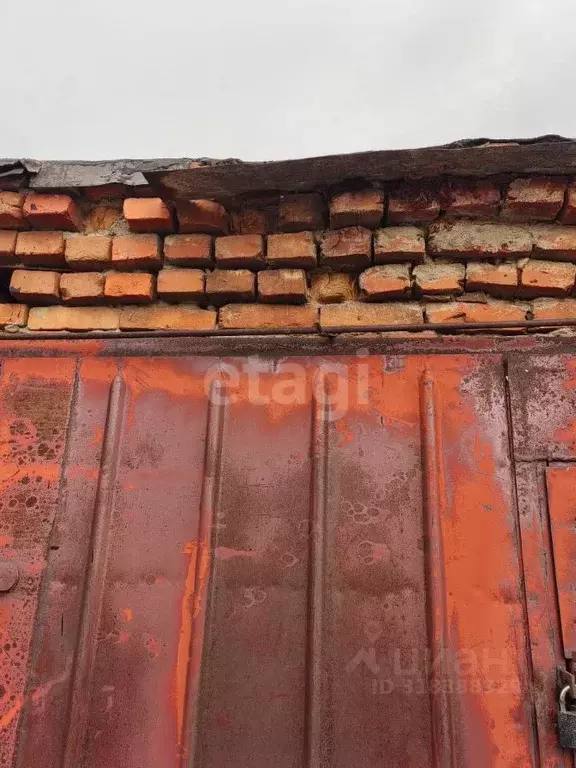 Гараж в Курганская область, Шадринск ул. Автомобилистов, 2 (17 м) - Фото 1