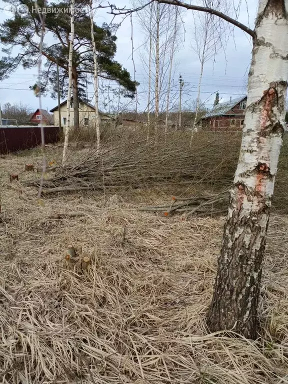 Участок в Кривец, Новая улица (10 м) - Фото 1