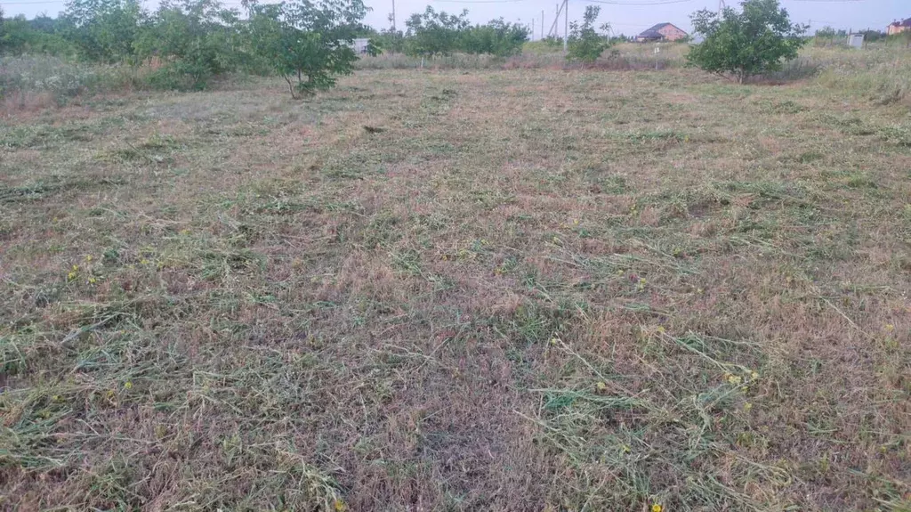 Участок в Ленинградская область, Выборгский район, Селезневское с/пос, ... - Фото 1