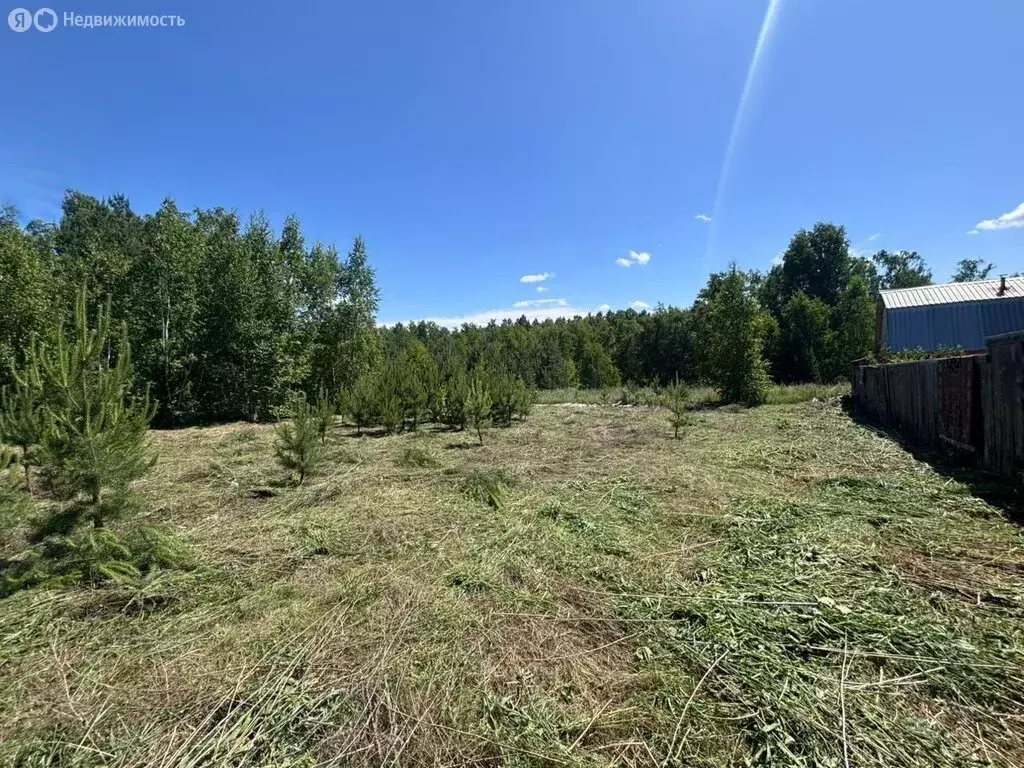 Участок в Курганская область, Кетовский муниципальный округ, село ... - Фото 0