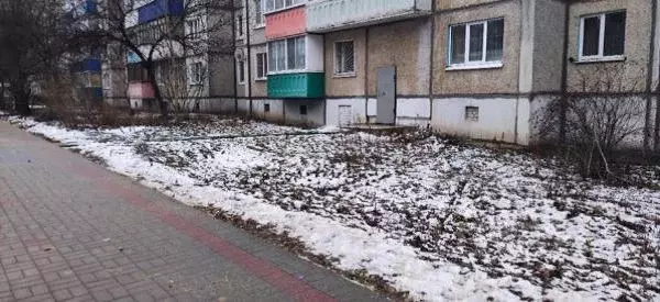 Помещение свободного назначения в Липецкая область, Елец ул. ... - Фото 1