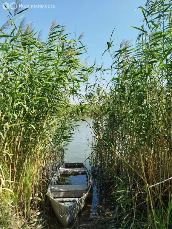 Дом в Азовский район, Обильненское сельское поселение, хутор ... - Фото 2