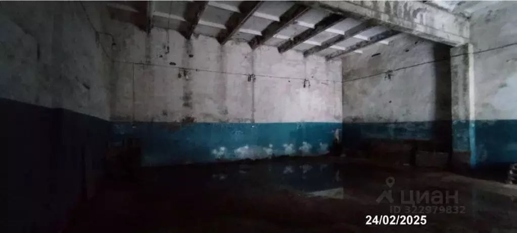 Помещение свободного назначения в Пензенская область, Пенза ул. ... - Фото 1