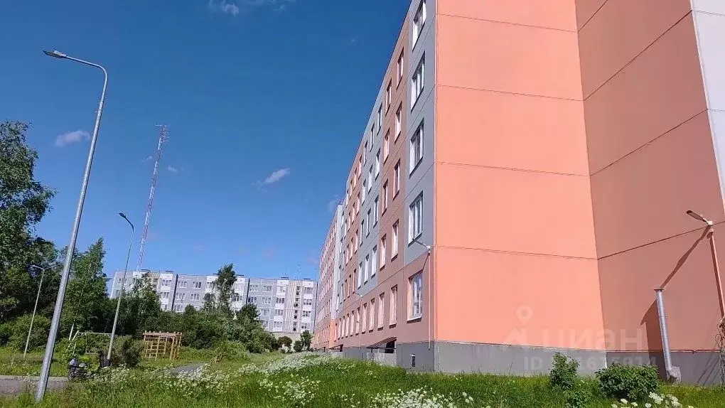 3-к кв. Ленинградская область, Гатчинский муниципальный округ, Дружная ... - Фото 2