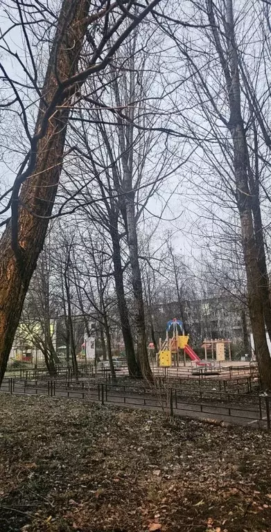 1-к кв. Санкт-Петербург Искровский просп., 29 (31.1 м) - Фото 2