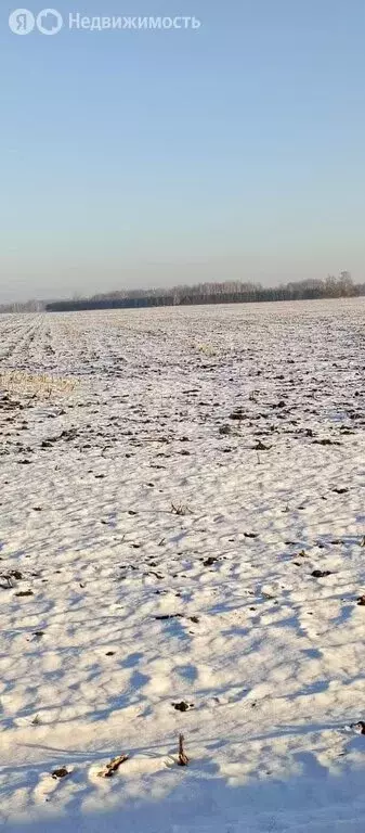 Участок в Тюменская область, Голышмановский муниципальный округ, село ... - Фото 0