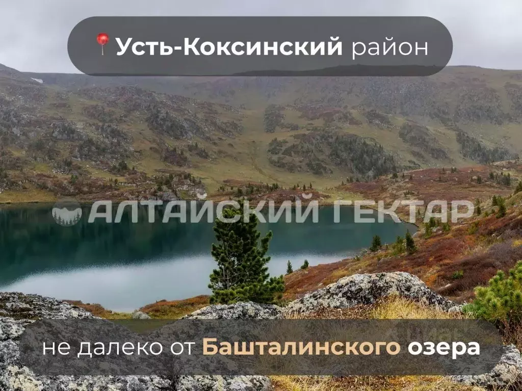 Участок в Алтай, Усть-Коксинский район, с. Усть-Кокса Советская ул. ... - Фото 1