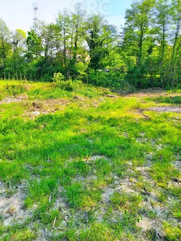 Участок в Краснодарский край, Сочи ул. Тракторная (6.0 сот.) - Фото 2