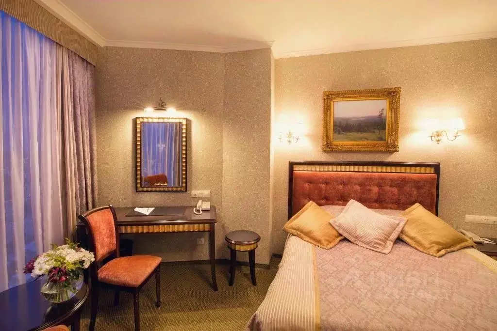 Комната Свердловская область, Екатеринбург ул. Малышева, 51 (28.0 м) - Фото 2